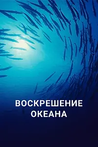 Главный постер фильма «Воскрешение океана (2015)»