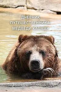 Главный постер сериала «Дневник путешественника: Медведи Катмая (2022)»
