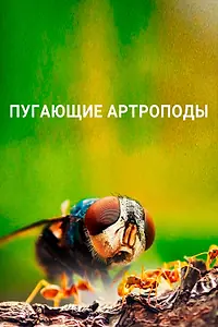 Постер к сериалу «Пугающие артроподы (2020)»