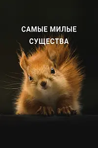 Главный постер фильма «Самые милые существа (2021)»