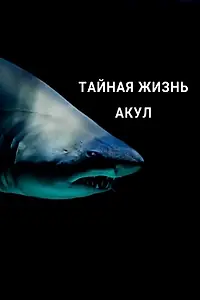 Постер к сериалу «Тайная жизнь акул (2021)»