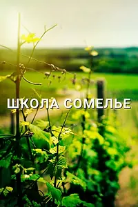 Постер к фильму «Школа сомелье (2016)»
