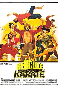 Постер к фильму «Геркулес против карате (1973)»