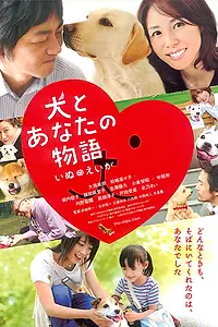 Постер к фильму «Все о нашей собаке (2011)»