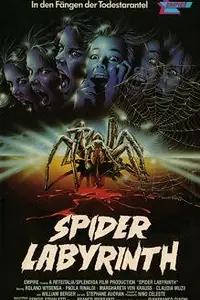 Главный постер фильма «Гнездо пауков (1988)»