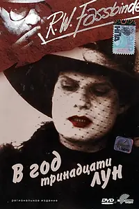 Постер к фильму «В год тринадцати лун (1978)»