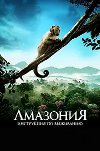 Главный постер фильма «Амазония: Инструкция по выживанию (2013)»
