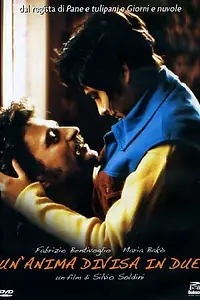 Постер к фильму «Разделенная душа (1993)»