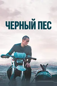 Главный постер фильма «Чёрный пёс (2024)»