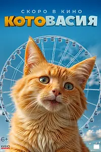 Постер к фильму «Котовасия»