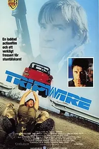 Главный постер фильма «Западня (1989)»