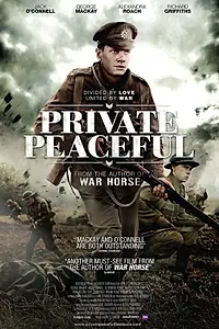 Главный постер фильма «Рядовой Писфул (2012)»