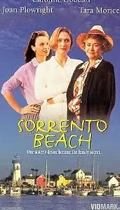 Главный постер фильма «Отель Сорренто (1995)»