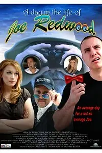 Постер к фильму «Один день из жизни Джо Редвуда (2007)»