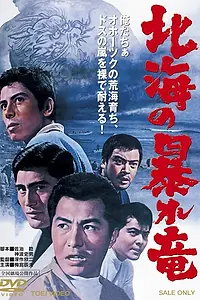 Главный постер фильма «Дракон, буйствующий в Северном море (1966)»