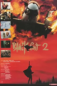 Постер к фильму «Чёрная кошка 2 (1992)»