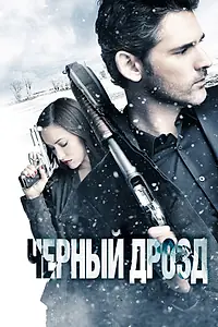 Постер к фильму «Чёрный дрозд (2011)»