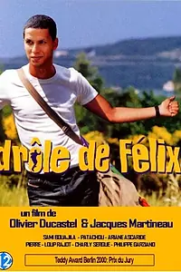 Постер к фильму «Приключения Феликса (2000)»