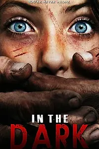 Постер к фильму «In the Dark»