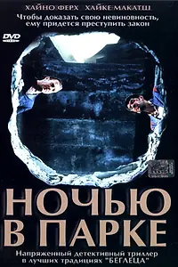 Постер к фильму «Ночью в парке (2001)»