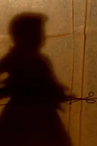 Главный постер фильма «The Secret Story (1996)»