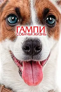 Главный постер фильма «Гампи. Собачья жизнь (2024)»