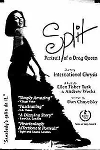Постер к фильму «Split (1993)»