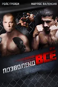Постер к фильму «Позволено всё (2010)»