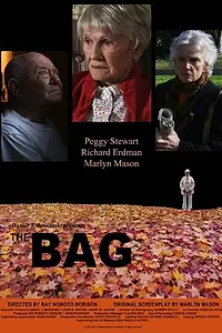 Постер к фильму «The Bag (2010)»