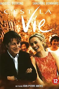 Постер к фильму «Се ля ви (2001)»