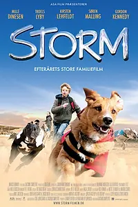 Постер к фильму «Шторм (2009)»