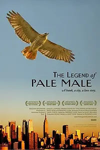Постер к фильму «The Legend of Pale Male (2009)»