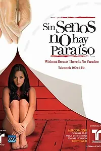 Постер к сериалу «Без бюста нет рая (2008)»