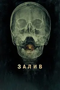 Постер к фильму «Залив (2012)»