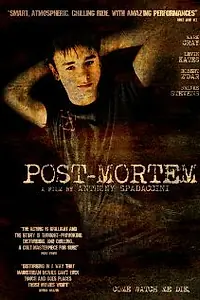 Главный постер фильма «После смерти (2010)»