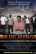Главный постер фильма «Mid Life Gangster (2013)»