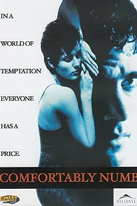 Постер к фильму «Комфортабельный номер (1995)»