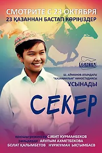 Постер к фильму «Секер (2009)»