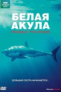 Главный постер фильма «BBC: Белая акула. Кровавый треугольник (2002)»