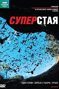 Постер к фильму «BBC: Суперстая (2009)»