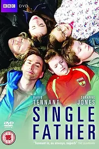 Главный постер сериала «Одинокий отец (2010)»