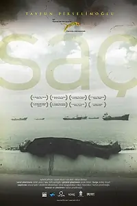 Постер к фильму «Волосы (2010)»