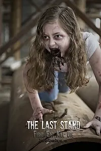 Постер к фильму «The Last Stand (2010)»