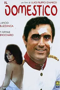 Постер к фильму «Слуга (1974)»
