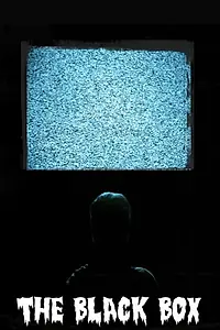 Постер к фильму «The Black Box (2010)»