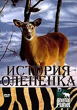 Главный постер фильма «История олененка (2003)»