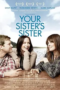Постер к фильму «Сестра твоей сестры (2011)»
