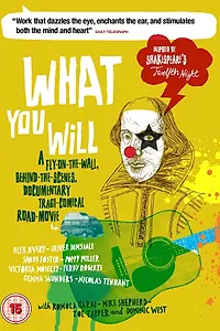 Постер к фильму «What You Will (2012)»