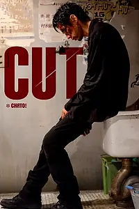 Постер к фильму «Снято! (2011)»