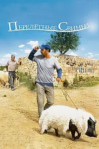 Главный постер фильма «Перелетные свиньи (2011)»
